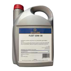 Aceite motor multifuncional FLEET 10W-30 (incl.SIGAUS RD679/2006 (0.045€/l))
