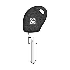 Llave transponder s/chip c/tapón GT15RBTE