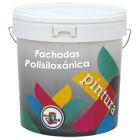 FACHADAS POLISILOXÁNICA